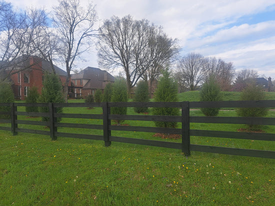 Eastern Red Cedar for Privacy: the Native Choice
