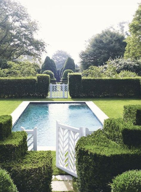 Swimming Pool Privacy Tree & Shrub Ideas