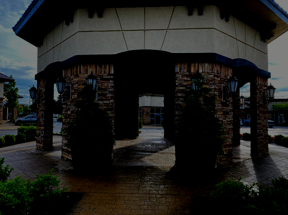 Large Arborvitae in Containers at a Lexington Shopping Center, 06042024