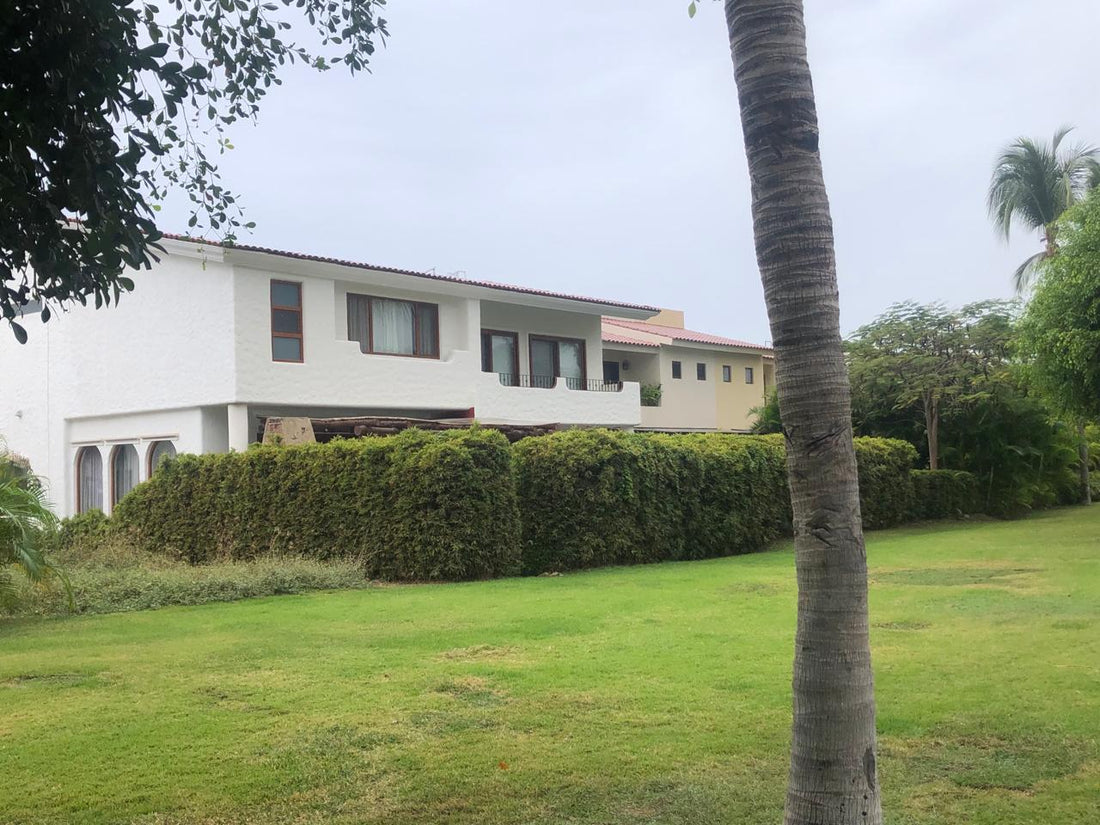 Privacy Evergreen Trees and Shrubs in Mexico