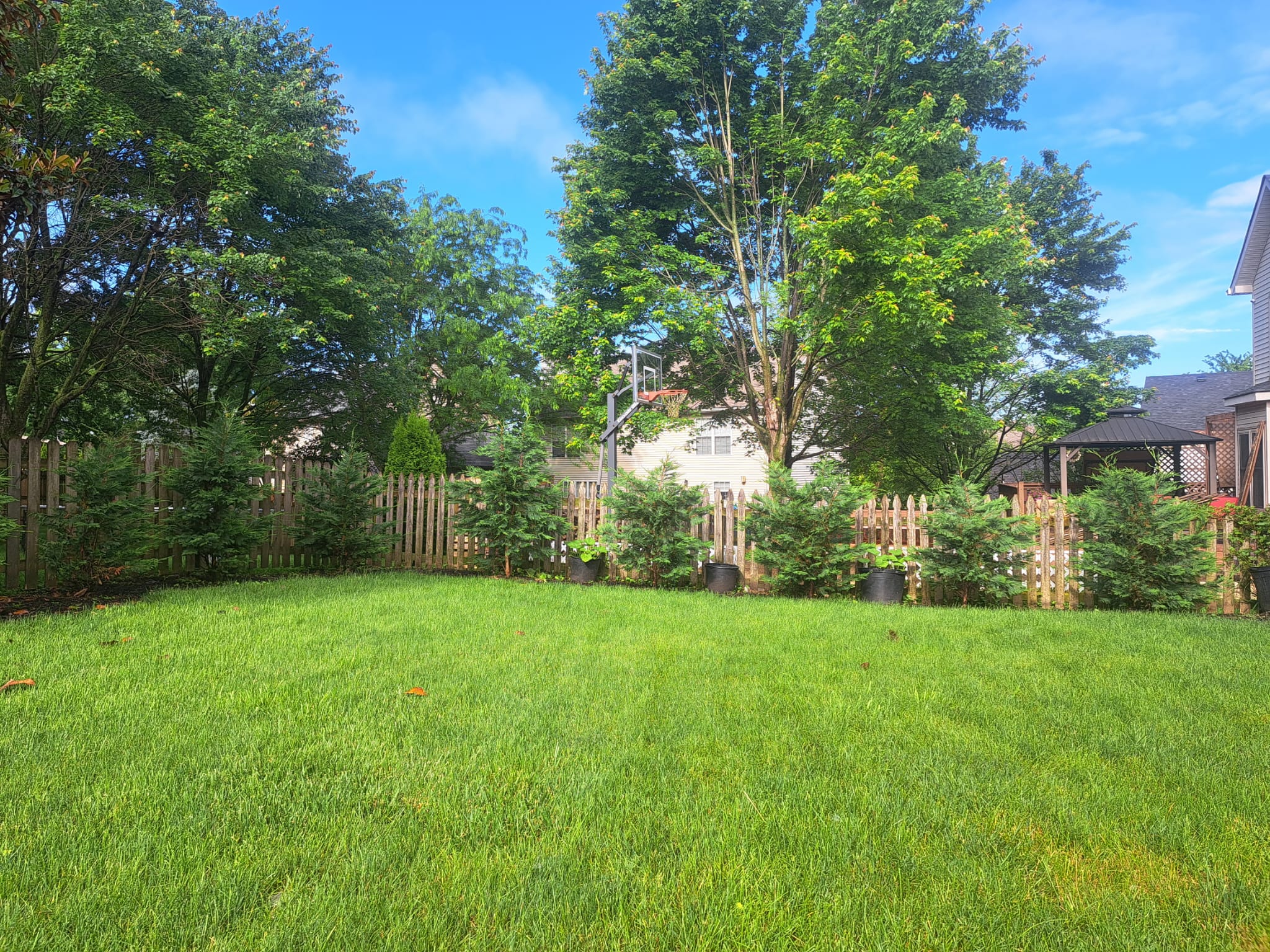 Backyard Privacy 04172024 – Victory Garden Boys