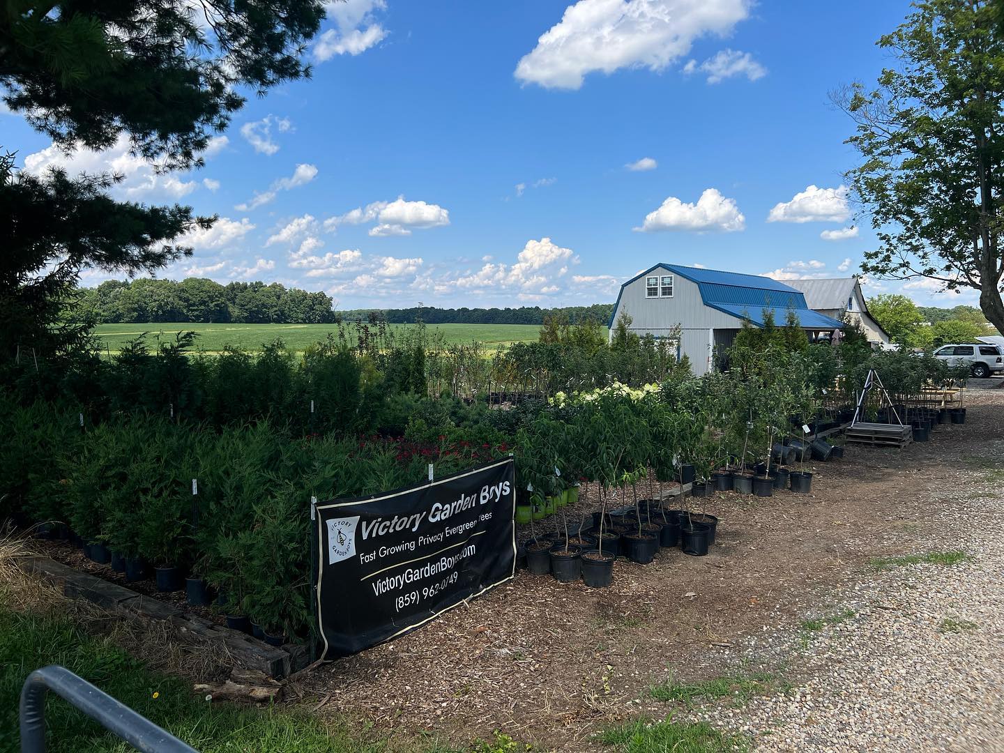 Visit us Victory Garden Boys